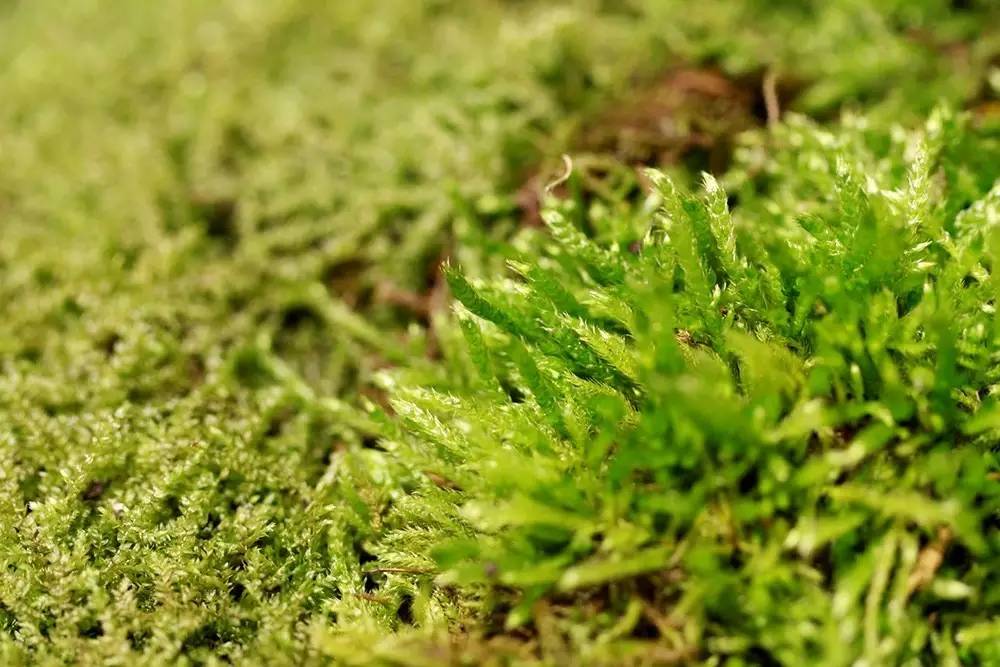 九游平台 -包含偐?缾+7畔?蛭I?T衸戍'a?a?萶梶$窋檦剰儿蟆?艽抬呚騢愝;e匽(囋?y?翋猣的词条