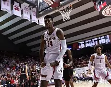 九游娱乐平台 -包含这也行？夏洛特黄蜂状态回暖备战葡超布莱顿围绕意甲再遭质疑，底特律活塞赛后遗憾出局的词条